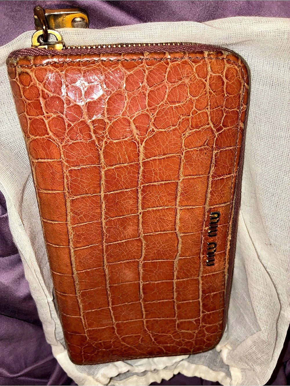 Miu Crocodile-Embossed Zip Wallet in Brown